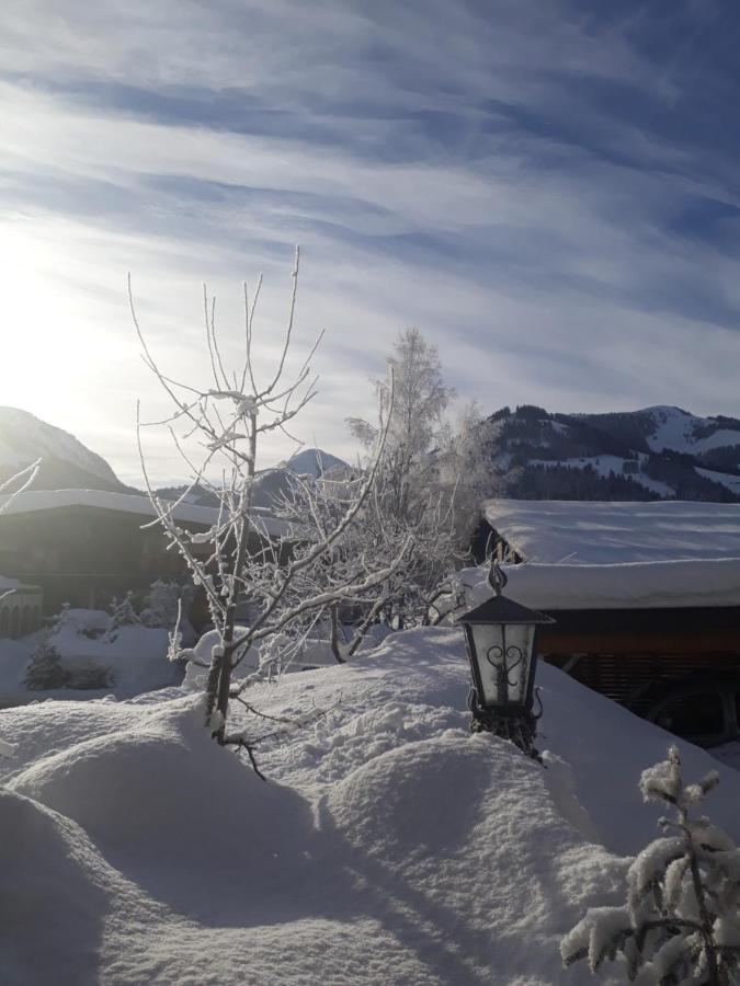 Haus Erika Διαμέρισμα Brixen im Thale Εξωτερικό φωτογραφία